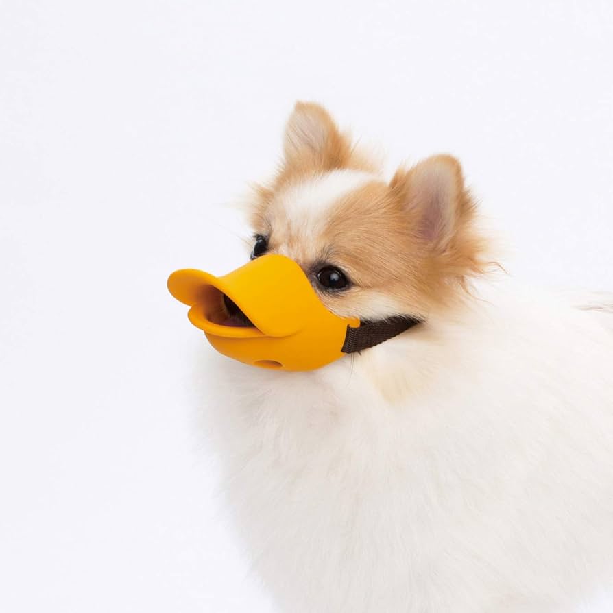 Amazon | オッポ (OPPO) quack closed | オッポ (OPPO) | マズル